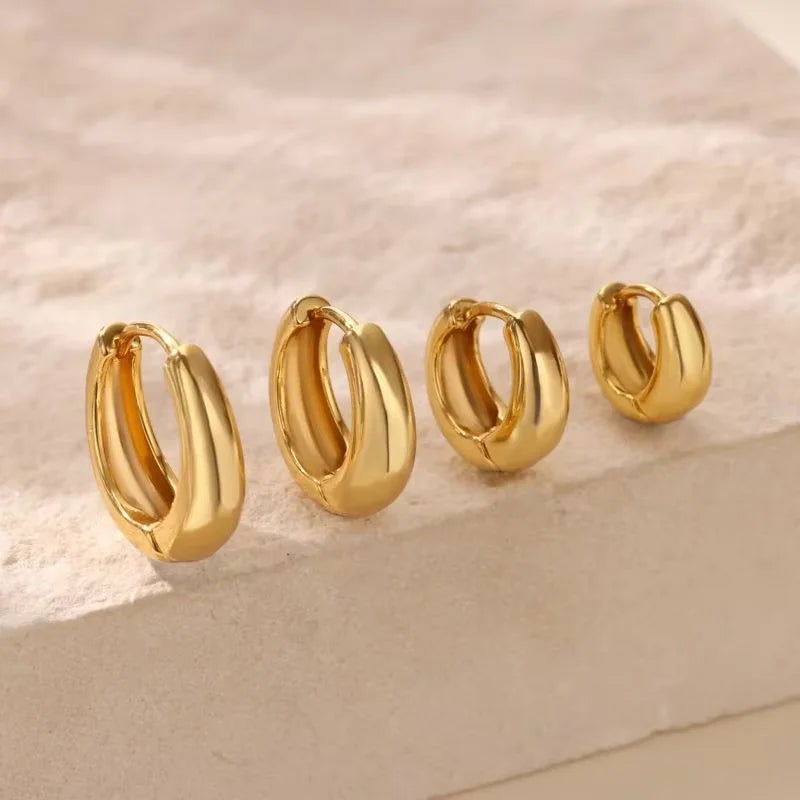 Classic Chunky Stainless Steel Hoop Earring