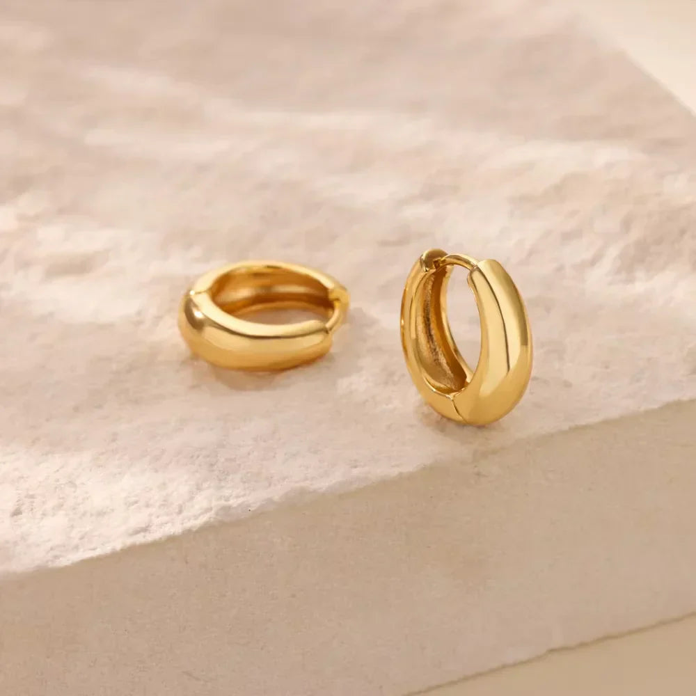 Classic Chunky Stainless Steel Hoop Earring